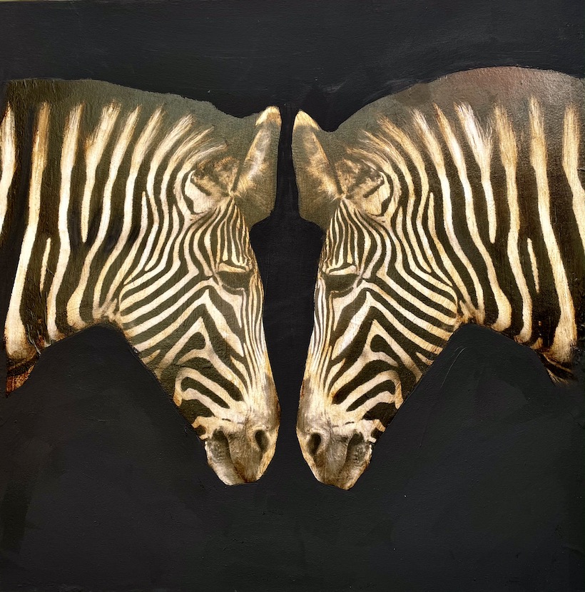 "Zebras" - inches 47x47 - Schofield Anke