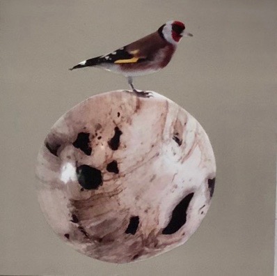 "Birdy I" - inches 12x12 - Schofield Anke