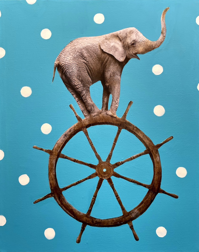 "Elephant on wheel" - inches 49x39 - Schofield Anke