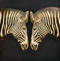 Schofield Anke - Zebras