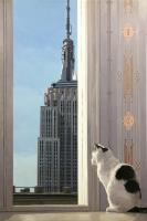 Baruffi Andrea - Manhattan window Empire State Building